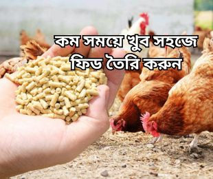 কম সময়ে খুব সহজে ফিড তৈরি করুন