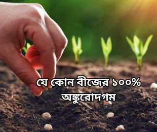 যে কোন বীজের ১০০% অঙ্কুরোদগম