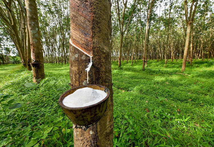 রাবার শিল্প