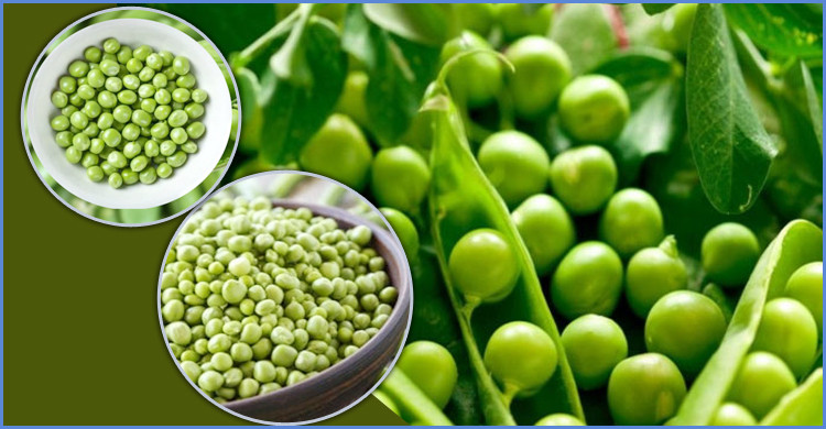 মটরশুটি বীজ