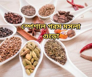স্পেশাল গরম মসলা গুড়ো